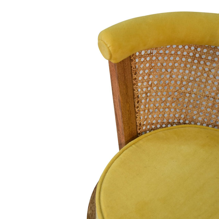 Larissa Velvet Chair with Crafted from Solid Mango Wood - product view 4 showing handcrafted solid mango wood chair